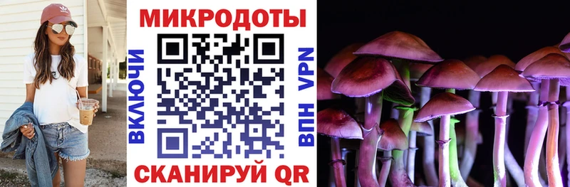 Псилоцибиновые грибы прущие грибы  Питкяранта 