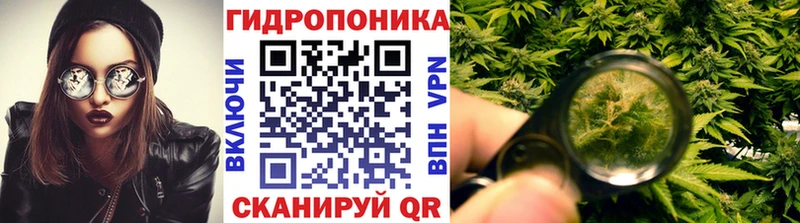 Шишки марихуана THC 21% Питкяранта